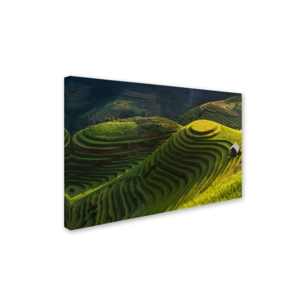 Jakkree Thampitakkull 'Gold Rice Terrace' Canvas Art,16x24